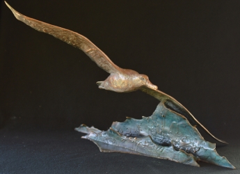 Wondering Albatross - maquette