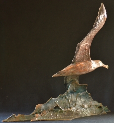 Wondering Albatross