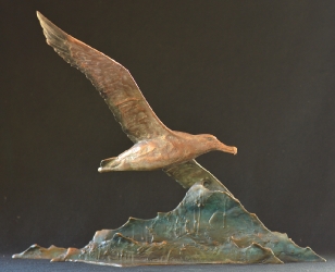 Wondering Albatross