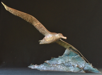 Wondering Albatross