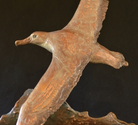 Wondering Albatross