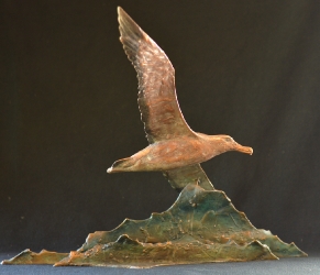Wondering Albatross