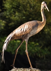 Wattled Crane life size