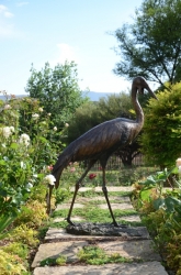 Wattled Crane life size