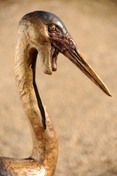 Wattled Crane life size