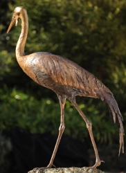 Wattled Crane life size