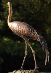 Wattled Crane life size