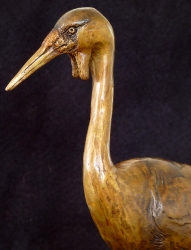 Wattled Crane maquette