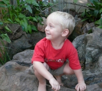 Boy Playing on the Rocks