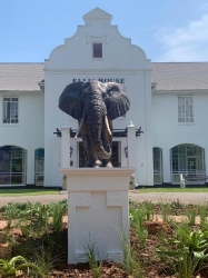 Harambee - Elephant - Ellis House - Hilton College