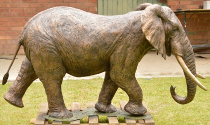 Harambee - Elephant - Ellis House - Hilton College
