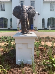 Harambee - Elephant - Ellis House Hilton College