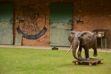 Harambee - Elephant - Ellis House - Hilton College