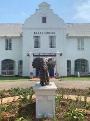 Harambee - Elephant - Ellis House - Hilton College