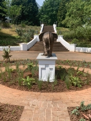 Harambee - Elephant - Ellis House - Hilton College