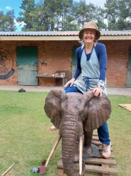 Harambee - Elephant - Ellis House - Hilton College