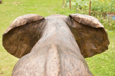 Harambee - Elephant - Ellis House - Hilton College