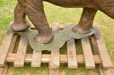 Harambee - Elephant - Ellis House - Hilton College