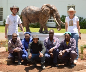 Harambee - Elephant - Ellis House - Hilton College