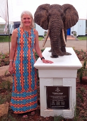 Harambee - Elephant - Ellis House - Hilton College
