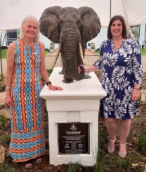 Harambee - Elephant - Ellis House - Hilton College