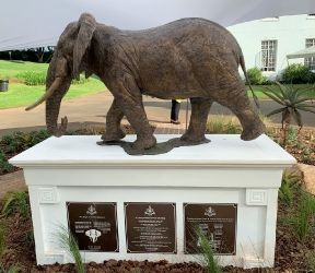 Harambee - Elephant - Ellis House - Hilton College