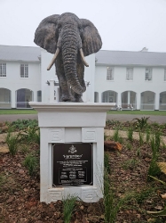 Harambee - Elephant - Ellis House - Hilton College