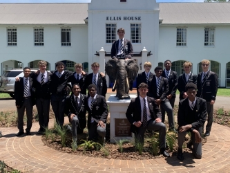 Harambee - Elephant - Ellis House - Hilton College