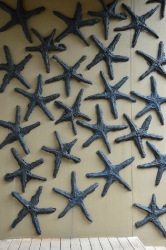 Starfish Mural