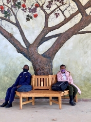 Thembelihle Primary School Tree Mural