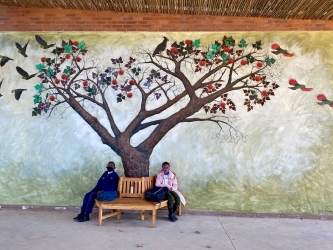 Thembelihle Primary School tree relief mural, Howick