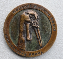 Wattled Crane Relief Medal