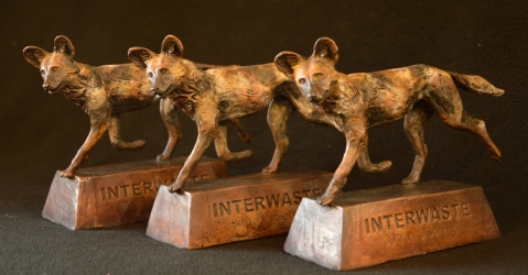 Wild Dog Interwaste 30 year award