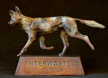 Wild Dog Interwaste 30 year award