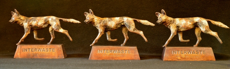 Wild Dog Interwaste 30 year award