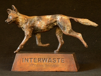 Wild Dog Interwaste 30 year award