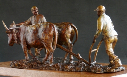 Working together - Ploughing oxen