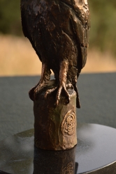 Long-Crested Eagle Exclusive Gift