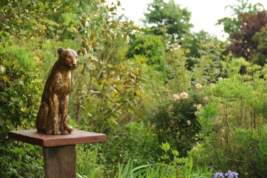 Underberg garden exhibition