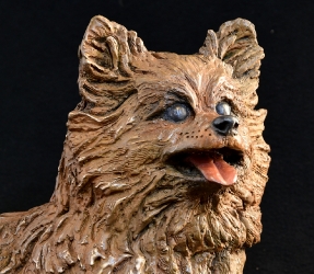 Pomeraniin - Life-sized