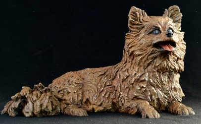 Pomeraniin - Life-sized
