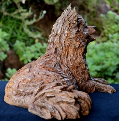 Pomeraniin - Life-sized