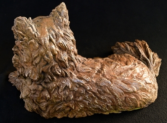 Pomeraniin - Life-sized