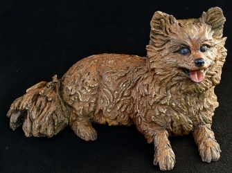 Pomeraniin - Life-sized