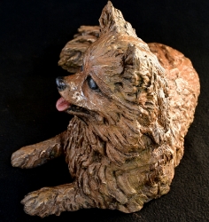 Pomeraniin - Life-sized