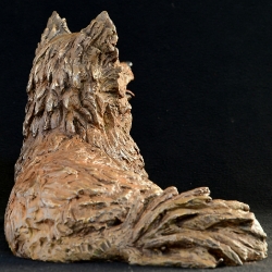 Pomeraniin - Life-sized