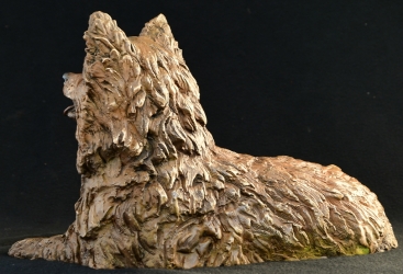 Pomeraniin - Life-sized