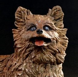 Pomeraniin - Life-sized