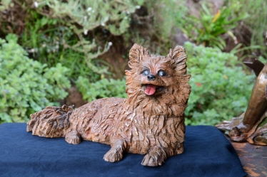 Pomeraniin - Life-sized
