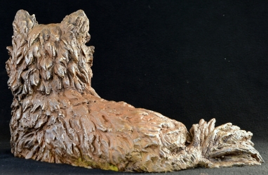 Pomeraniin - Life-sized